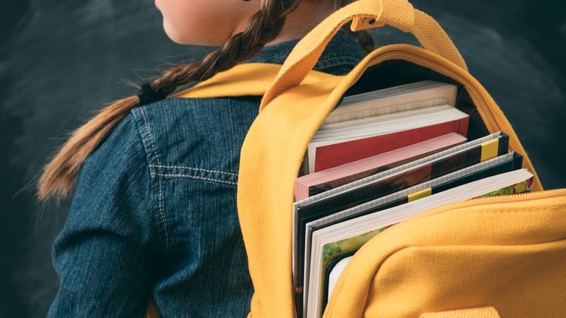 The initiative is to cost €47m as part of Budget 2023 (file image)