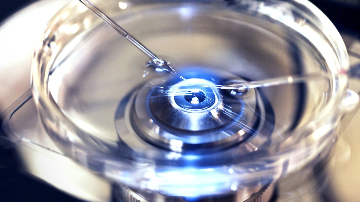 Gov. to publicly fund some IVF treatment next year