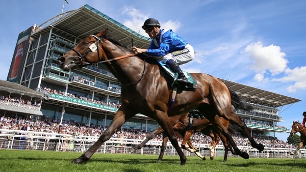 Anmaat has won both of his starts this season and four of his last five races