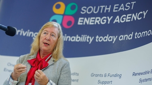 Speaking in Waterford, Marie Donnelly called for leadership on both a local and national level