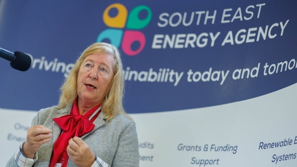 Speaking in Waterford, Marie Donnelly called for leadership on both a local and national level