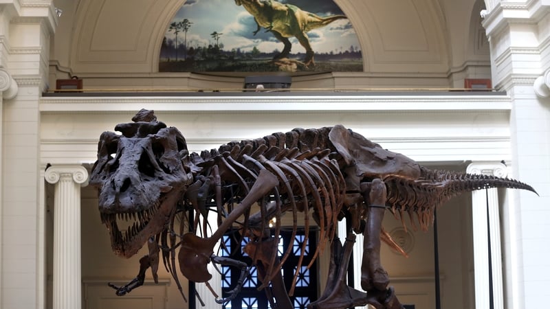 Sue represents one of the world's best-known dinosaur fossils