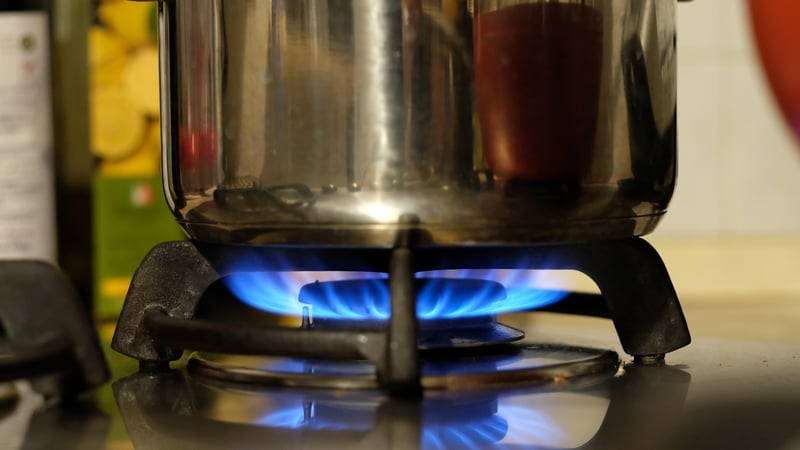 Eamon Ryan said suppliers had hedged a price at which to buy commodities in advance