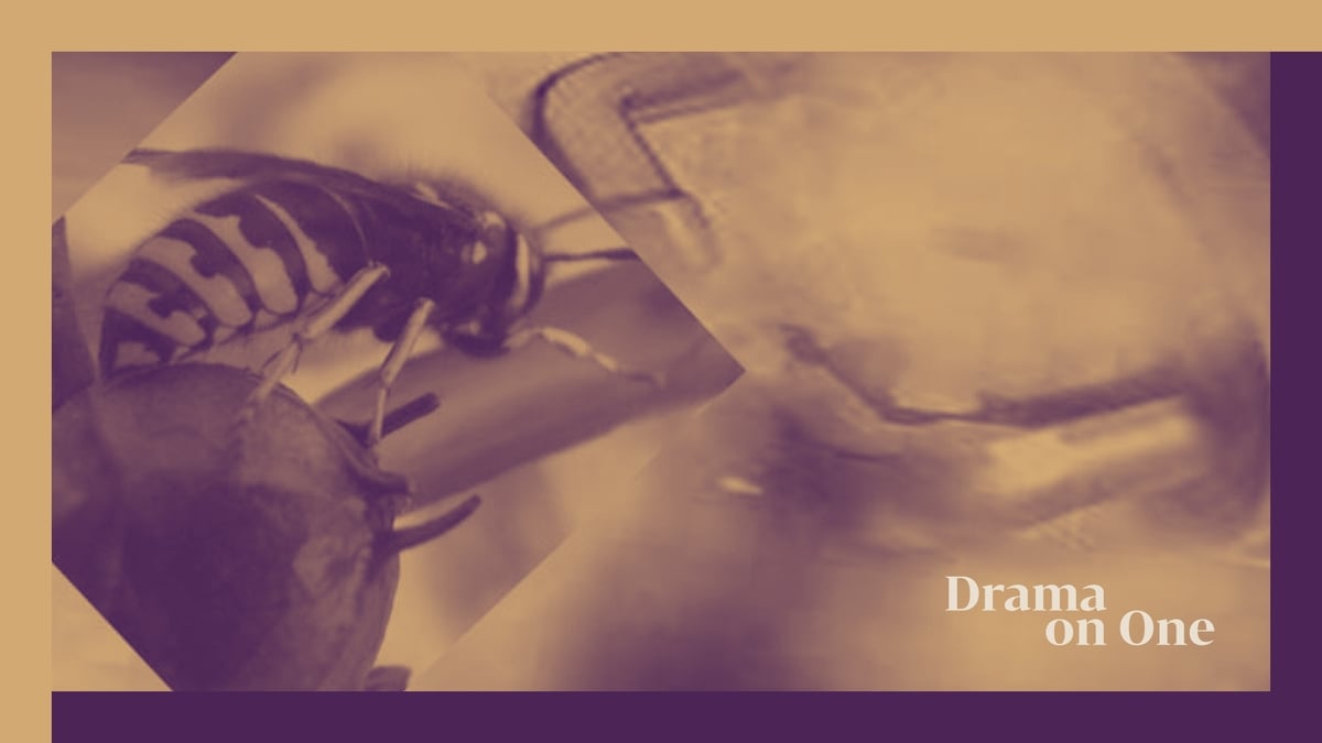 Wee Black Bees By Little John Nee