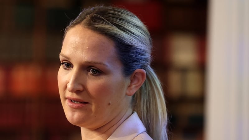 Minister for Justice Helen McEntee said she believed the proposals could be enacted before the end of the month (Pic: RollingNews.ie)