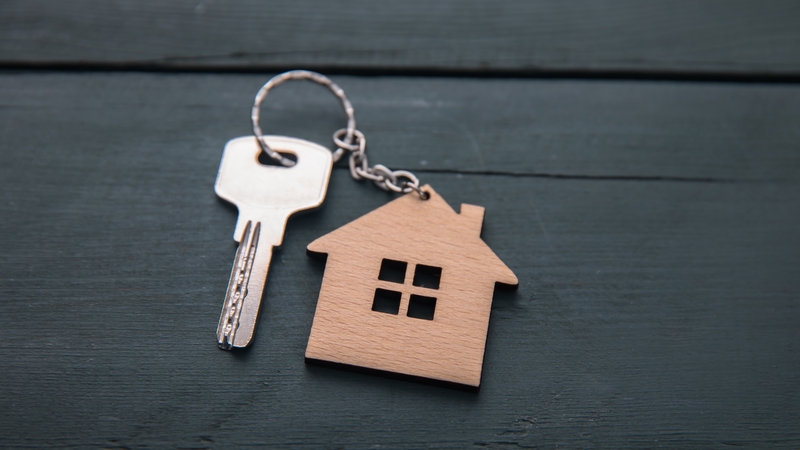 The Cabinet previously introduced a temporary ban during the Covid-19 pandemic when there were restrictions on travel