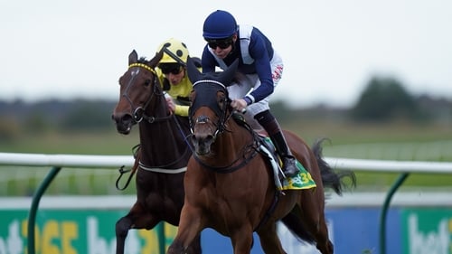 Commissioning is a daughter of Kingman out of a Galileo mare