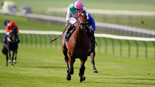 Nostrum bids to give Michael Stoute just a second win in the Dewhurst Stakes
