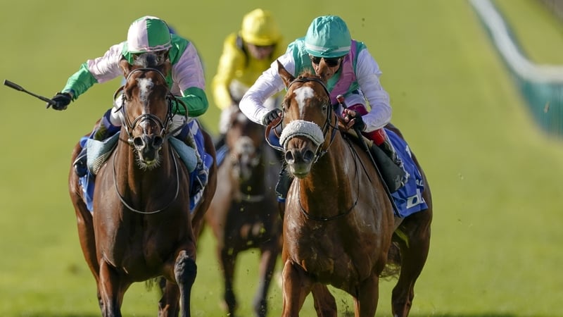 Chaldean (sheepskin noseband) leads home Royal Scotsman in last season's Dewhurst Stakes on the Rowley Mile