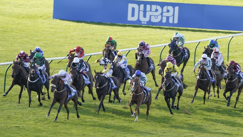 David Egan strikes the from on the nosebanded Run For Oscar in the Cesarewitch