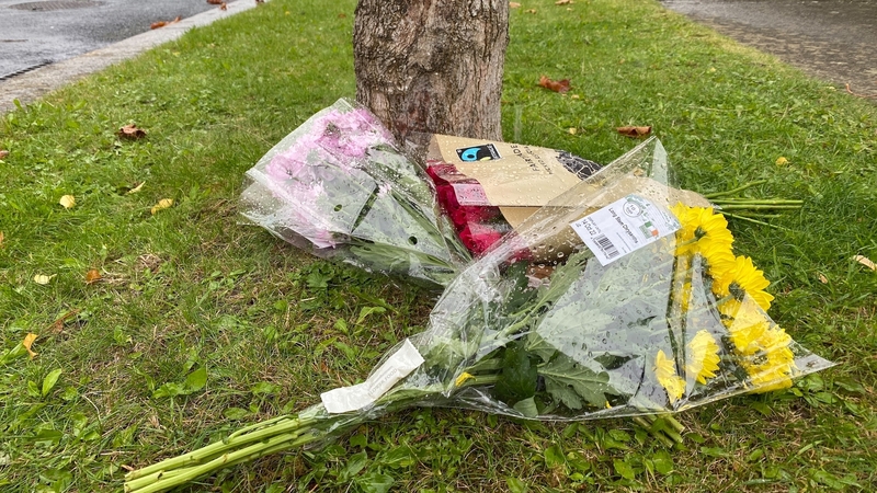 Gardaí say that neither died of natural causes and they are not looking for anyone else at present