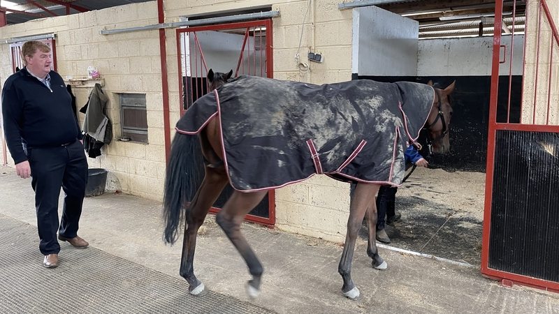 John Joseph Hanlon ('Shark') with equine sensation Hewick