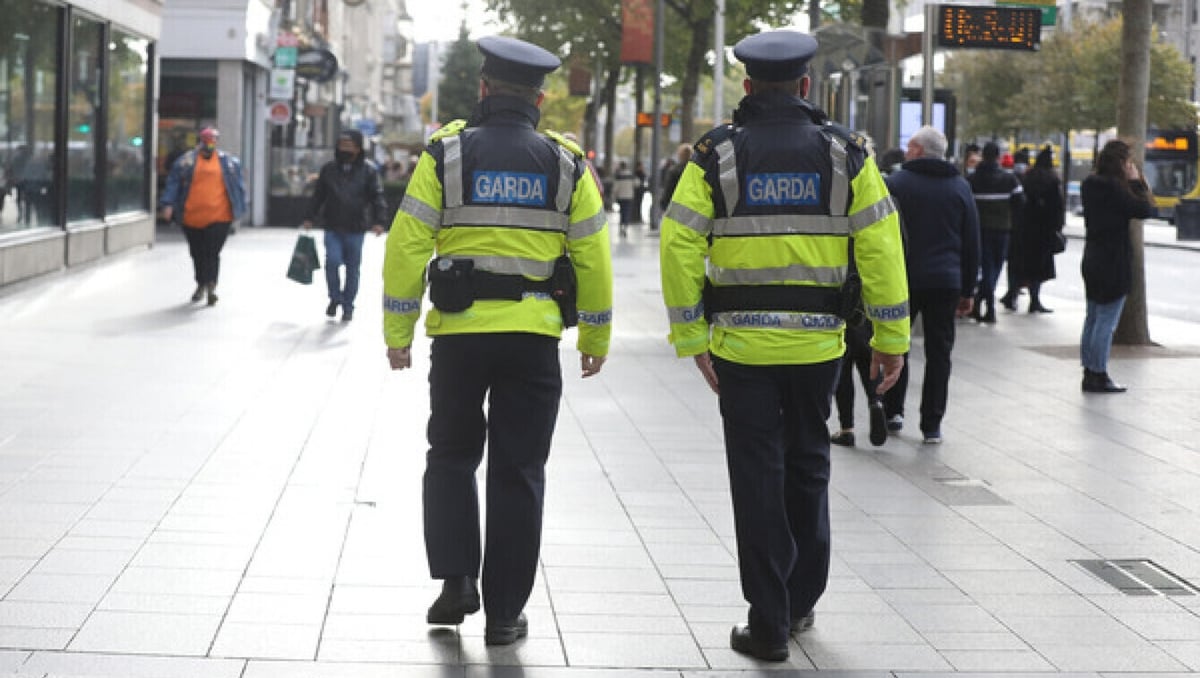 Community Garda Units