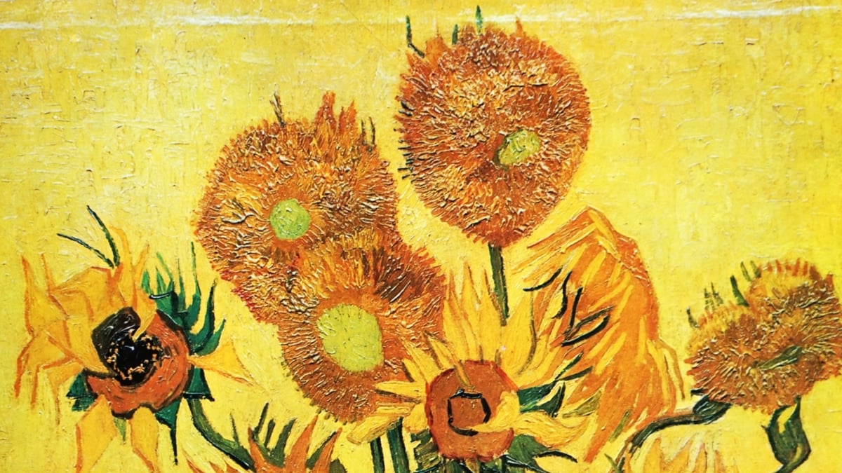 Van Gogh Vandalism & the Climate Crisis