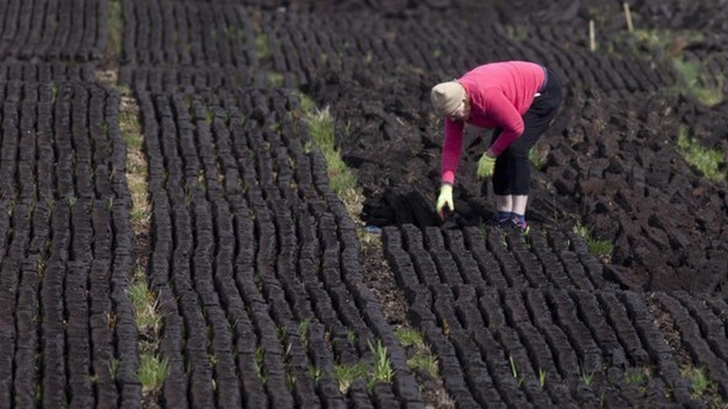 Turf cutters had been invited to take part in the proceedings but refused (File photo: RollingNews.ie)