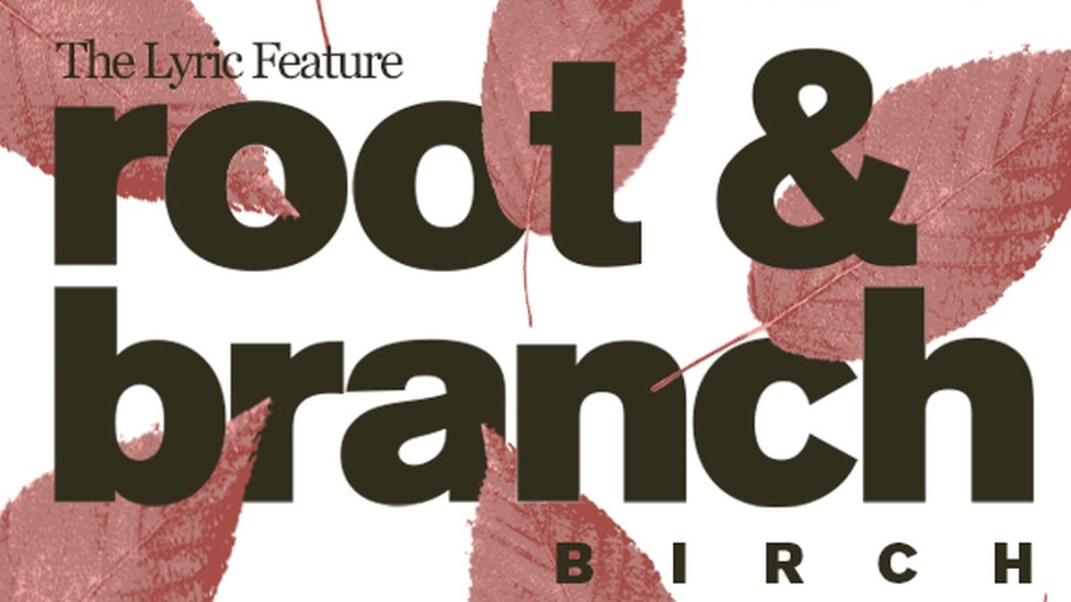 Root and Branch: Ep. 1 - Birch | The Lyric Feature