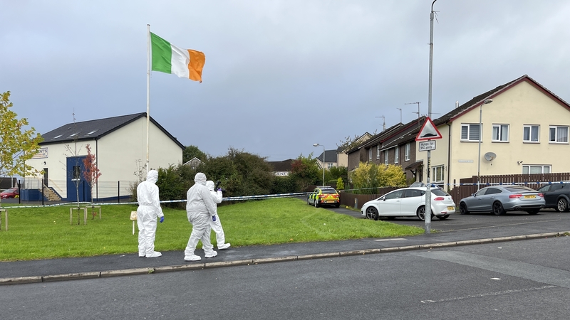 The scene of the incident in the Slievecoole Park area