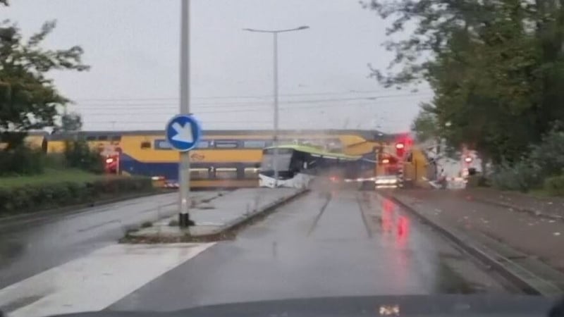 'The driver got out and tried to warn the train,' a witness said, 'he's a hero'