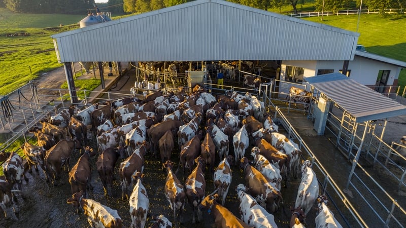 Teagasc's research covered the vast majority of Ireland's agricultural output