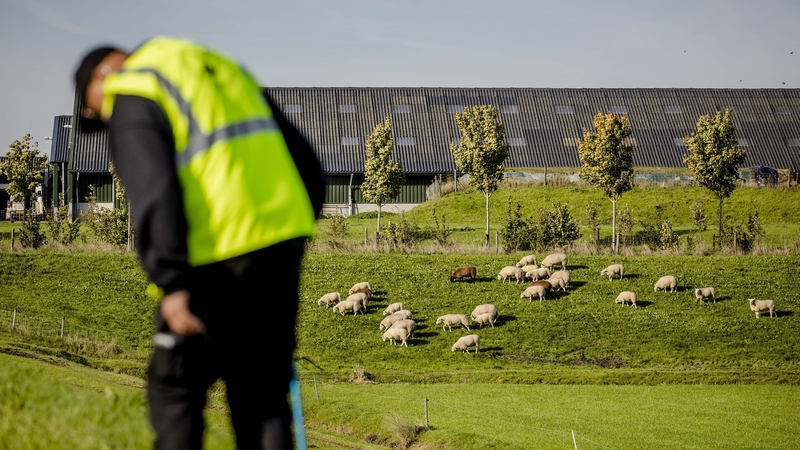 Members of the Veterans Search Team in Waspik as the search for missing Hebe and her companion Sanne resumes