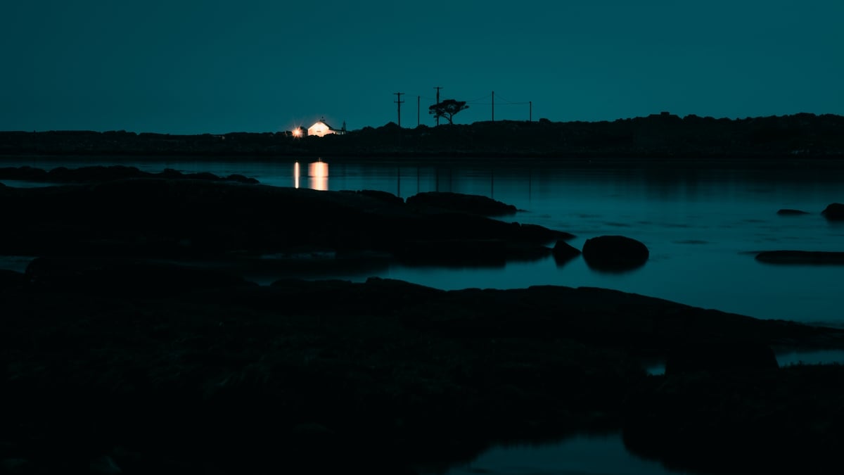 Nature Nights on RTÉ Radio 1 - Creatures of the Night