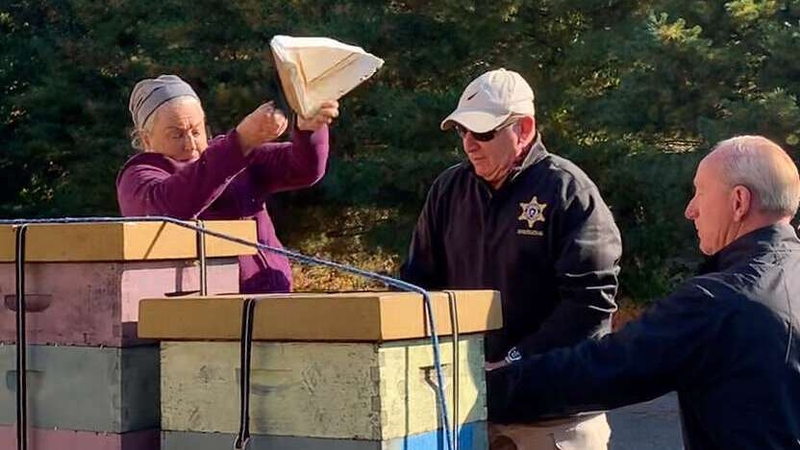 Image: Hampden County Sheriff's Department