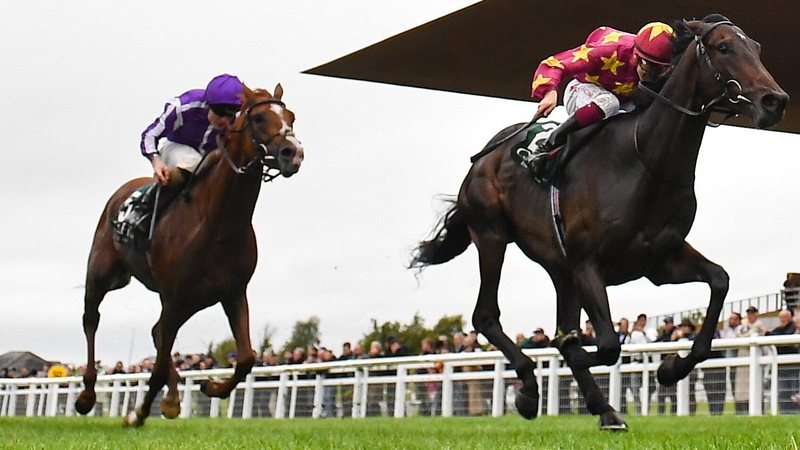 Al Riffa leads home Proud And Regal in last season's National Stakes at the Curragh