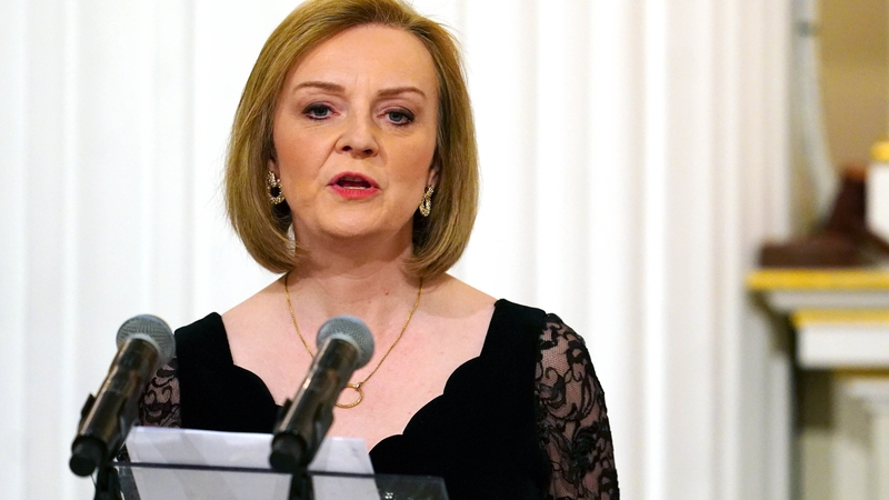 Liz Truss was deputy director of the UK think-tank Reform prior to becoming a Conservative MP (file image)