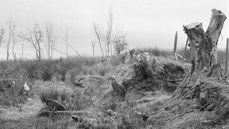 Willie Doherty, detail from 'Winter Landscape' (2022)