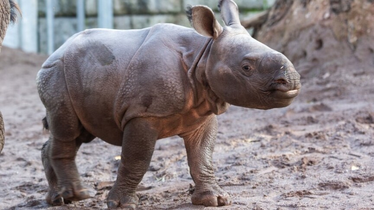 Mooney Goes Wild Monday 24 October 2022