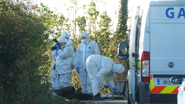 Gardaí examine the scene where Stefan Nivelles Posschier was found dead
