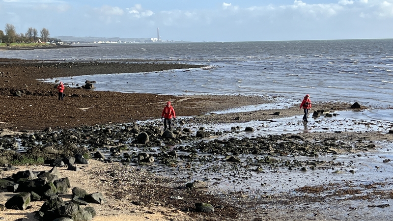 Search teams on shore Belfast Lough