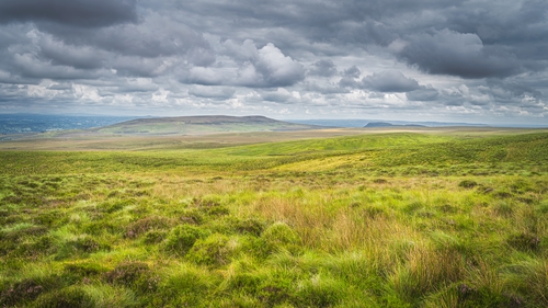 The draft legislation seeks to restore 20% of ecosystems in Europe by 2030