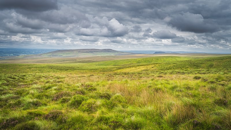 The Nature Restoration Law was approved by a margin of 54 votes (file image)