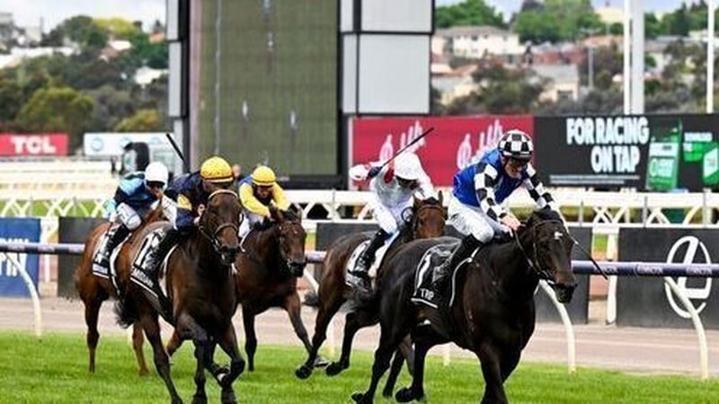 Gold Trip leads the field home at Flemington