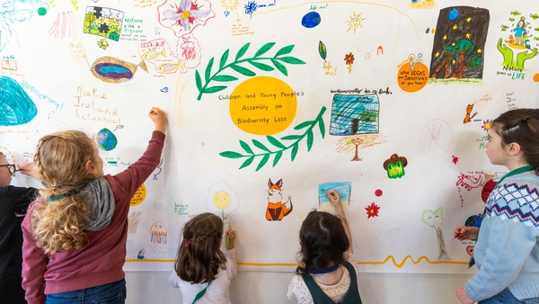Ecolution: Children and young people talk biodiversity loss