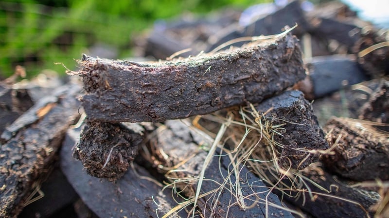 Lucht sleán tagtha slán