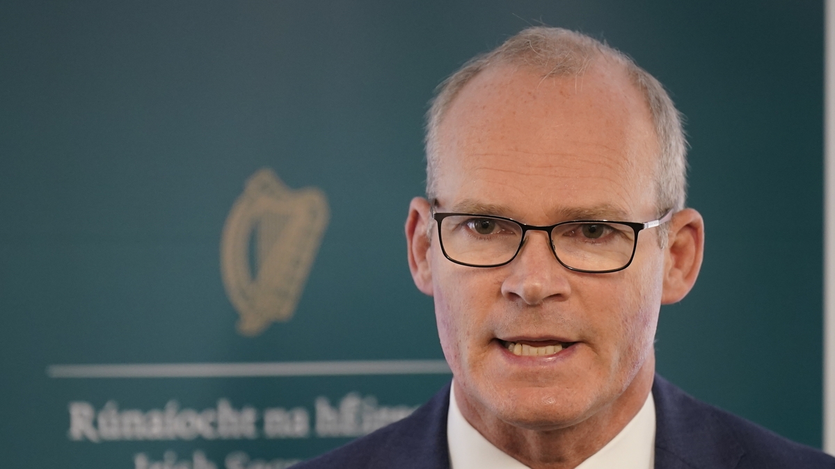 Min. Simon Coveney: FG Junior Ministers 'didn't intend to upset anyone'