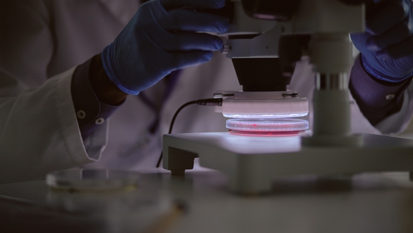 The HSE published the results of an audit into organ-retention practices earlier this year