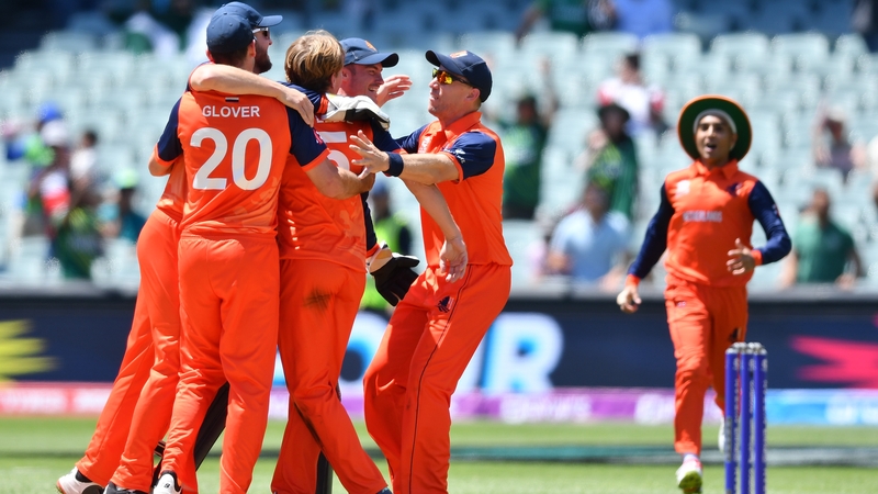 Netherlands players celebrate as they shock the fancied South Africans