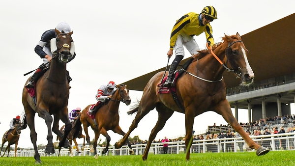 The race meeting which attracted the biggest contribution of public money last year was the Irish Champions Weekend in September