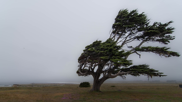 Met Éireann says the three counties will face strong to gale force south to southwest winds today into tomorrow morning (Stock image)