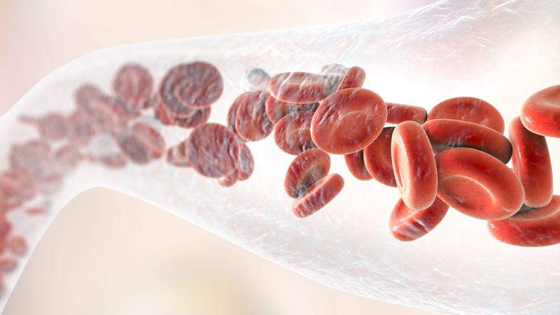 Manufactured blood cells could revolutionise treatments for people with blood disorders such as sickle cell and rare blood types