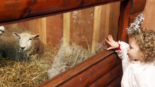 Bonnie Devereux Lynch at the live crib outside Dublin's Mansion House in 2018 (RollingNews.ie)