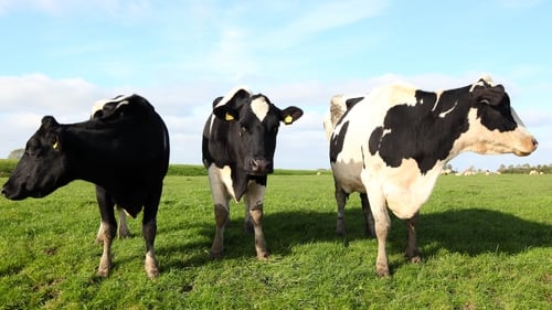 Beef exports to China were suspended last November