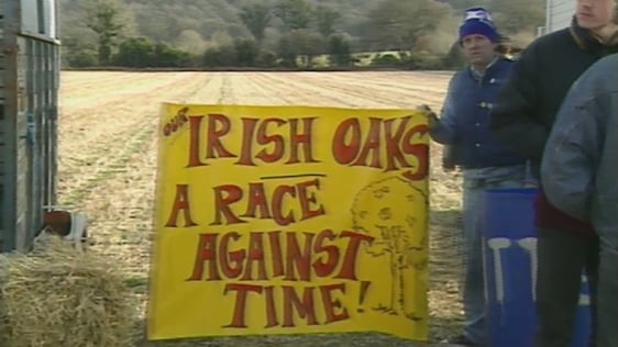 Wicklow Trees Under Threat, 1992