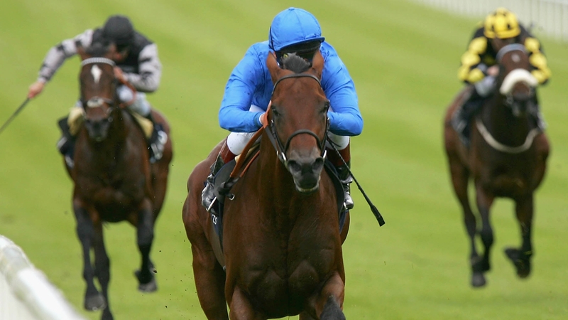 Dubawi won five of his eight career starts but has gone on to make a greater impact at stud