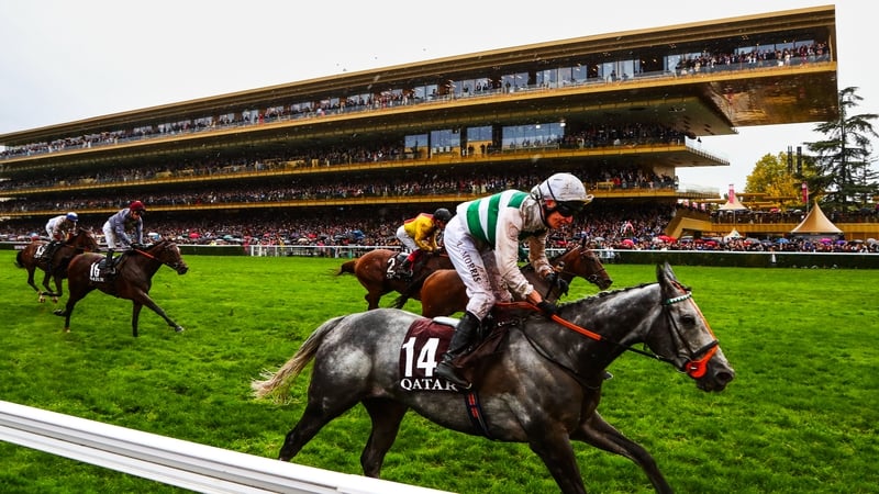 Alpinista won this year's Prix de l'Arc de Triomphe