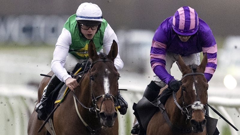 Former bumper opponents Weveallbeencaught (left) and Collectors Item renew rivalries on Friday