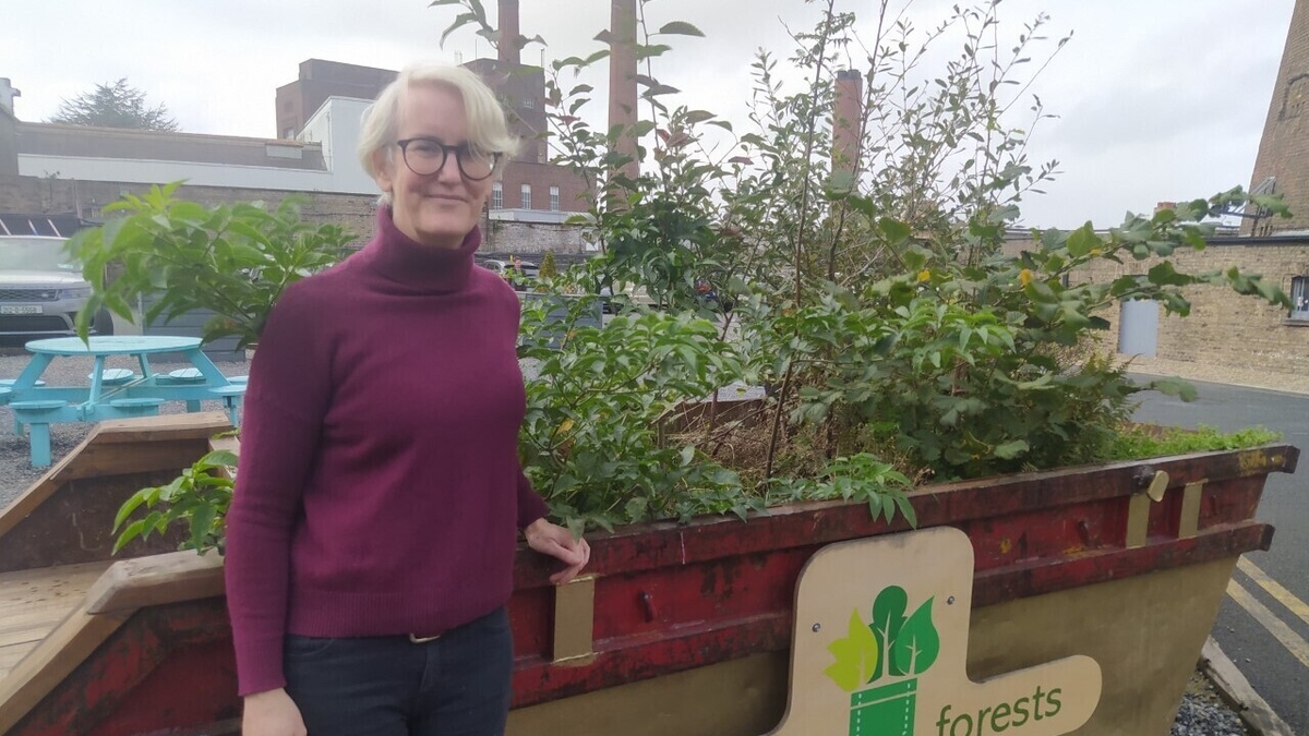 Catherine Cleary | Where Life Sounds Greener 